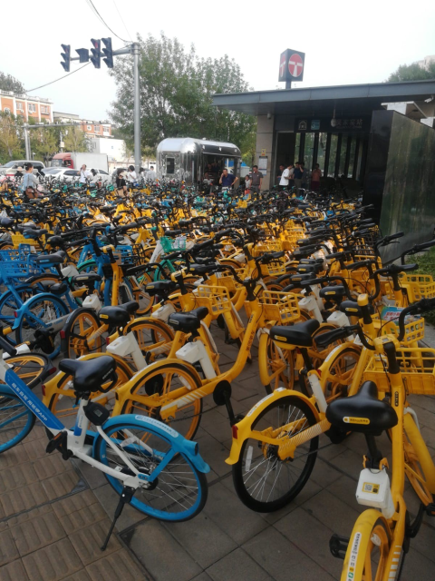 bikes.jpg